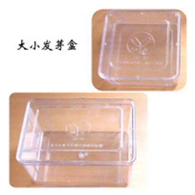 種子發芽盒 12*12cm/13*19cm