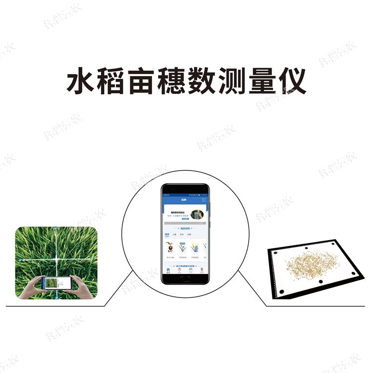水稻畝穗數測量系統 TPDS-1