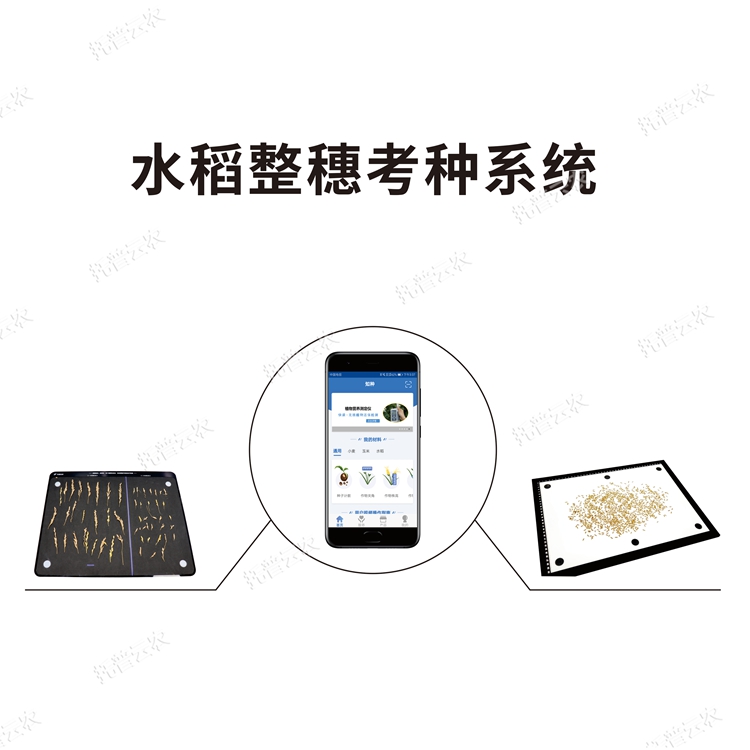 水稻整穗考種測量系統 TPDS-X-1 plus
